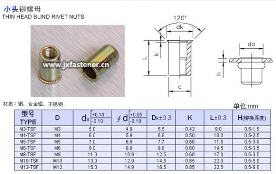 Small Head Rivet Nuts